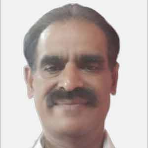 Committee Member